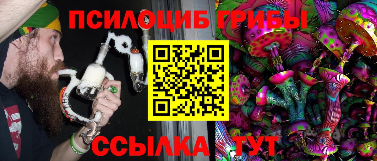 Галлюциногенные грибы Cubensis Джанкой