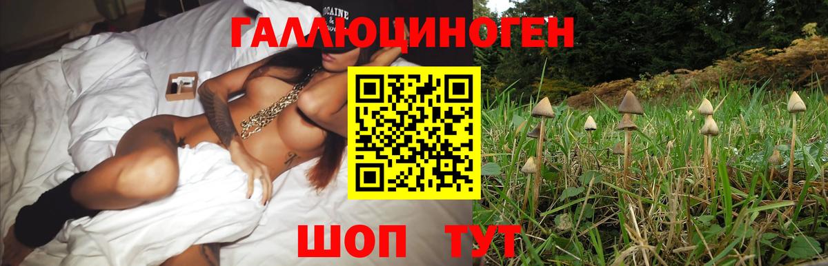 где продают наркотики  Галлюциногенные грибы MAGIC MUSHROOMS  Вход с VPN  Джанкой 
